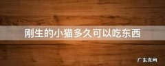 小猫出生多久可以吃食 刚生的小猫多久可以吃东西