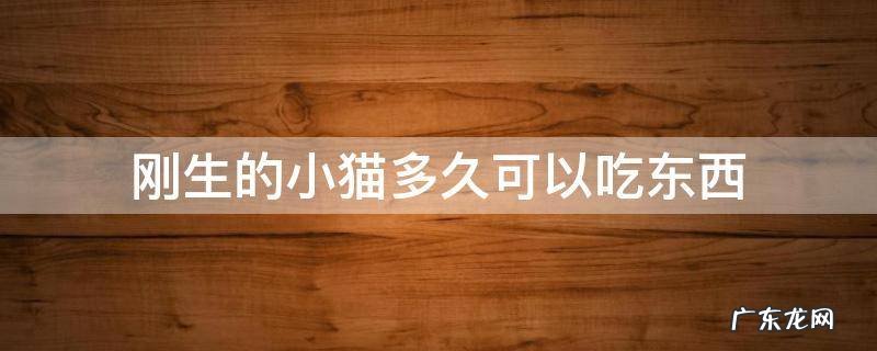 小猫出生多久可以吃食 刚生的小猫多久可以吃东西