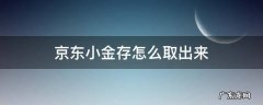 京东小金库存钱能取出来吗 京东小金存怎么取出来