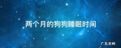 两个月的狗狗睡眠时间 两个月狗宝宝睡眠时间