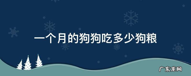 一个月的狗能吃多少狗粮 一个月的狗狗吃多少狗粮