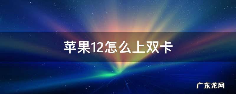 苹果12怎样上双卡 苹果12怎么上双卡