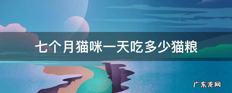 七个月的猫一天吃多少猫粮 七个月猫咪一天吃多少猫粮
