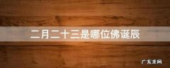 二月二十三是哪位佛诞辰 三月二十八是哪位菩萨的诞辰