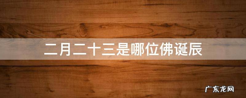 二月二十三是哪位佛诞辰 三月二十八是哪位菩萨的诞辰
