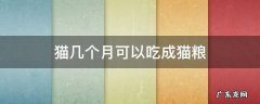 猫几个月可以吃成猫粮头部地产客户 猫几个月可以吃成猫粮