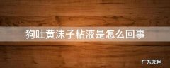 狗吐黄沫子粘液是什么原因 狗吐黄沫子粘液是怎么回事