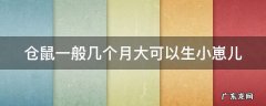 仓鼠一般几个月大可以生小崽儿 仓鼠几个月才可以生宝宝?