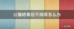 公猫绝育后不撒尿 公猫绝育后不排尿怎么办