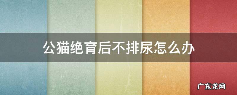 公猫绝育后不撒尿 公猫绝育后不排尿怎么办
