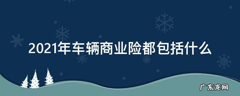 2021年车辆商业保险 2021年车辆商业险都包括什么