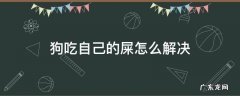 狗吃自己的屎怎么解决 狗为什么吃自己的屎怎么办