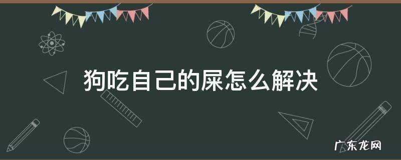 狗吃自己的屎怎么解决 狗为什么吃自己的屎怎么办