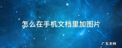 手机文档里面怎么加图片 怎么在手机文档里加图片