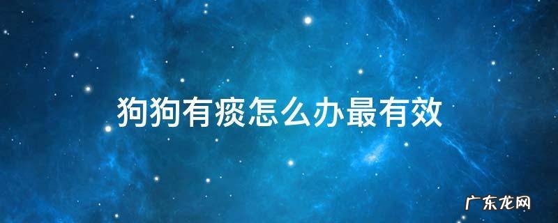 狗狗有痰怎么办最有效 狗狗一直有痰怎么办