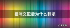 猫咪交配后为什么翻滚