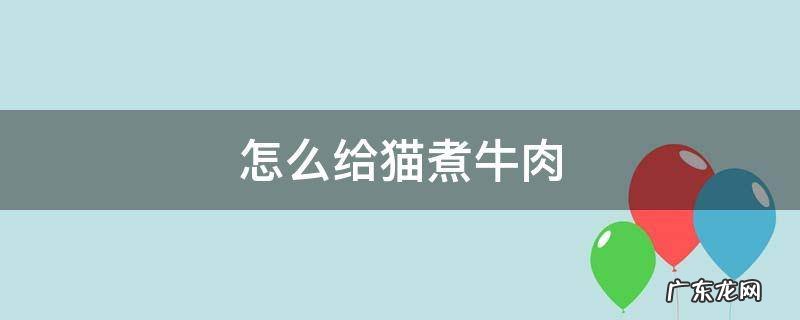 水煮牛肉给猫吃 怎么给猫煮牛肉