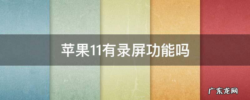 苹果11有录屏功能吗 iphone11有录屏功能吗