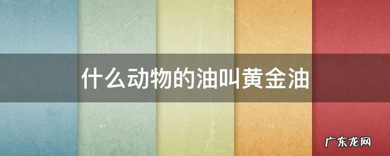 什么动物的油叫黄金油 油是什么动物