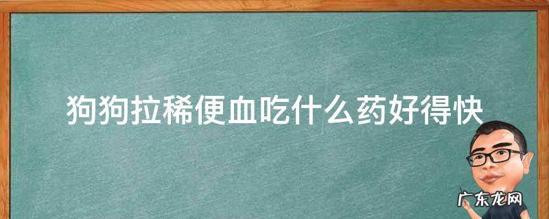 狗狗拉稀便血吃什么药好得快 狗狗拉稀便血吃什么药最好