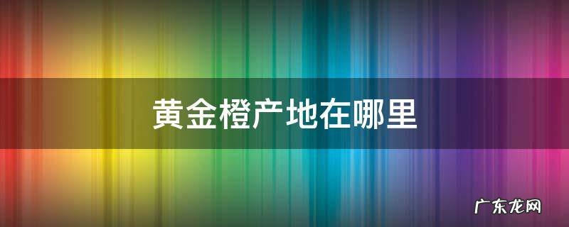 黄金橙子产地在哪里 黄金橙产地在哪里