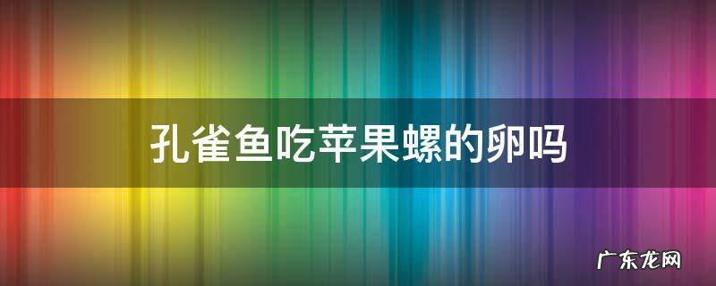 孔雀鱼会吃螺卵吗 孔雀鱼吃苹果螺的卵吗