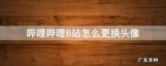哔哩哔哩B站怎么更换头像 哔哩哔哩如何更换头像