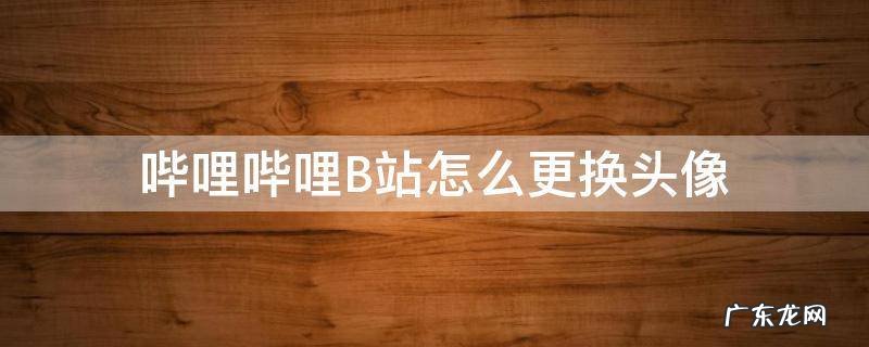哔哩哔哩B站怎么更换头像 哔哩哔哩如何更换头像