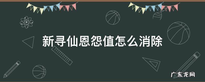 新寻仙恩怨值怎么看 新寻仙恩怨值怎么消除