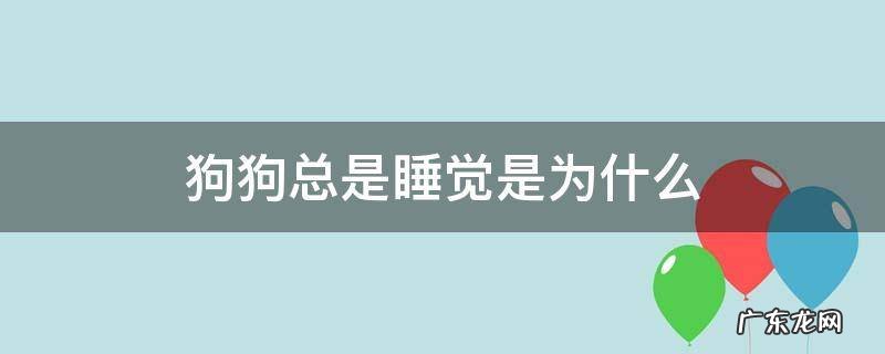狗狗总是睡觉是为什么 狗狗为什么总是睡觉呢