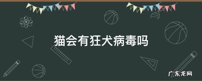 猫会有狂犬病毒吗 刚出生的小猫会有狂犬病毒吗