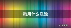 狗用什么洗澡 给小狗用什么洗澡