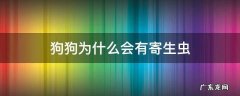 狗狗为什么会得寄生虫 狗狗为什么会有寄生虫