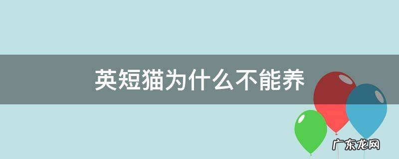英短猫为什么不建议养 英短猫为什么不能养