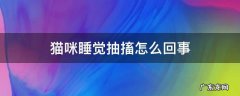猫咪睡觉抽搐怎么回事 猫咪睡觉抽搐为什么
