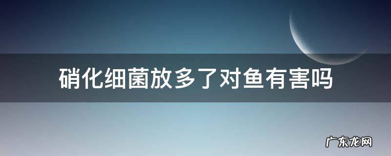 硝化细菌对鱼有害吗多久放一次 硝化细菌放多了对鱼有害吗