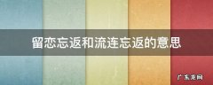 流连忘返的留恋什么意思 留恋忘返和流连忘返的意思