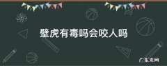 壁虎有毒吗会咬人吗 壁虎会咬人吗,壁虎有毒吗