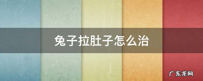 兔子拉肚子该怎么办 兔子拉肚子怎么治