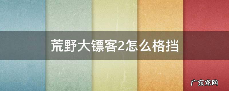 荒野大镖客2怎么格挡 荒野大镖客2怎么格挡pc