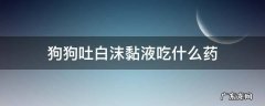 狗狗吐白沫黏液吃什么药 狗狗吐白沫黏液吃什么药?