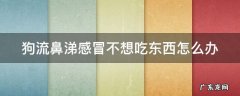 狗流鼻涕感冒不想吃东西怎么办 狗流鼻涕感冒不想吃东西怎么办吃什么药