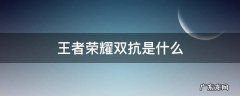 王者荣耀双抗是什么 王者荣耀双抗是什么装备