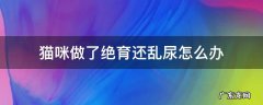 猫猫绝育还乱尿怎么解决 猫咪做了绝育还乱尿怎么办