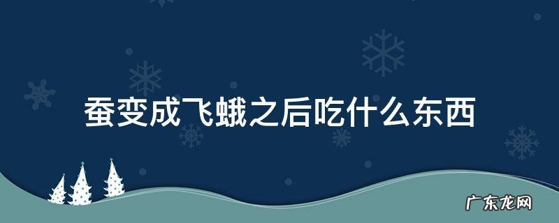 蚕变成飞蛾之后吃什么东西 蚕子变飞蛾后吃什么