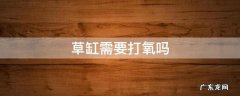 草缸需要打氧吗 夏天 草缸需要打氧吗