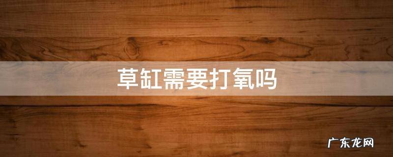 草缸需要打氧吗 夏天 草缸需要打氧吗