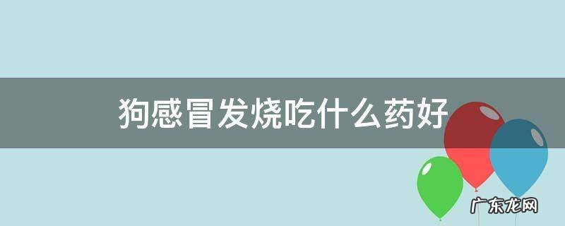 狗狗发烧吃点什么药 狗感冒发烧吃什么药好