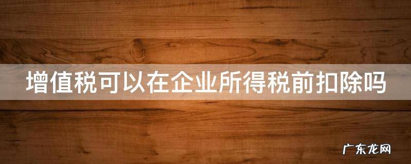 增值税可以在企业所得税前扣除吗 土地增值税可以在企业所得税前扣除吗