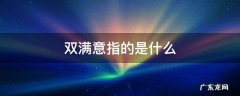 如何理解双满意 双满意指的是什么